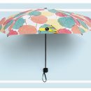 4256483702_1753013107