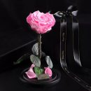 TB2KFHjvQCWBuNjy0FaXXXUlXXa_!!1759808380