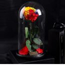 TB2M2eQvKSSBuNjy0FlXXbBpVXa_!!1759808380