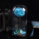 TB2v.ysvL9TBuNjy0FcXXbeiFXa_!!1759808380