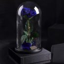 TB2z8JsnxuTBuNkHFNRXXc9qpXa_!!1759808380