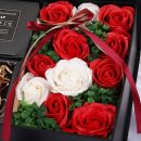 9503900512_833373659