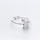 5384724019_334617663_副本