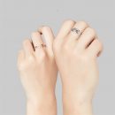 O1CN015QH5b41Wer3qdT1co_!!4117532814_副本