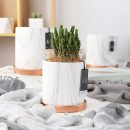 10566849398_988221823