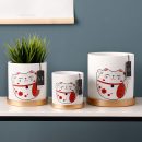 10755350980_988221823.jpg 10755350980_988221823.jpg