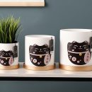 10755413013_988221823.jpg 10755413013_988221823.jpg