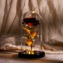 【金箔玫瑰玻璃罩禮盒】【LED夢幻燈束】超感動送女生禮物浪漫復古金箔永生玫瑰帶燈玻璃罩禮盒