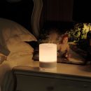 13091528751_616802691