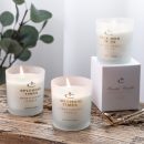 【英式杯裝香氛蠟燭】【無煙大豆蠟】【多種香型】SPLENDID-TIME英國助眠無煙大豆蠟持久香氛蠟燭