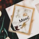 【高透水晶玻璃相框】【烤漆金屬邊框】歐式文藝復古金屬邊框高透雙層玻璃相框