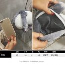 【可愛柯基屁屁包】韓國人氣包包少女2020新款潮韓版百搭可愛單肩斜挎迷你小包柯基屁屁包