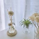 【五入】【天然通草花揮發棒】日式純手工製天然白千層通草花雛菊玫瑰造型香氛精油擴香瓶揮發棒藤條