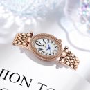 O1CN014kM0BW1HTCt4WiR3F__2690900758-0-cib