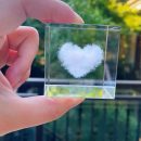 d4cc74c7-0050-45e0-886d-c7ff0b47c89f.jpeg.a