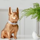 61FHtCoE8dL._AC_SL1500