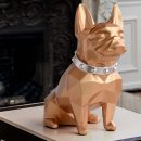 61Knaw9ZfPL._AC_SL1500