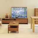 81CkKxu3ZAL._AC_SL1500_