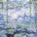 81uH5RpnxYL._AC_SL1500_