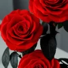 O1CN01Fsd57c1V5JIJIs1o7_!!2221537592601-0-scmitem176000.jpg_